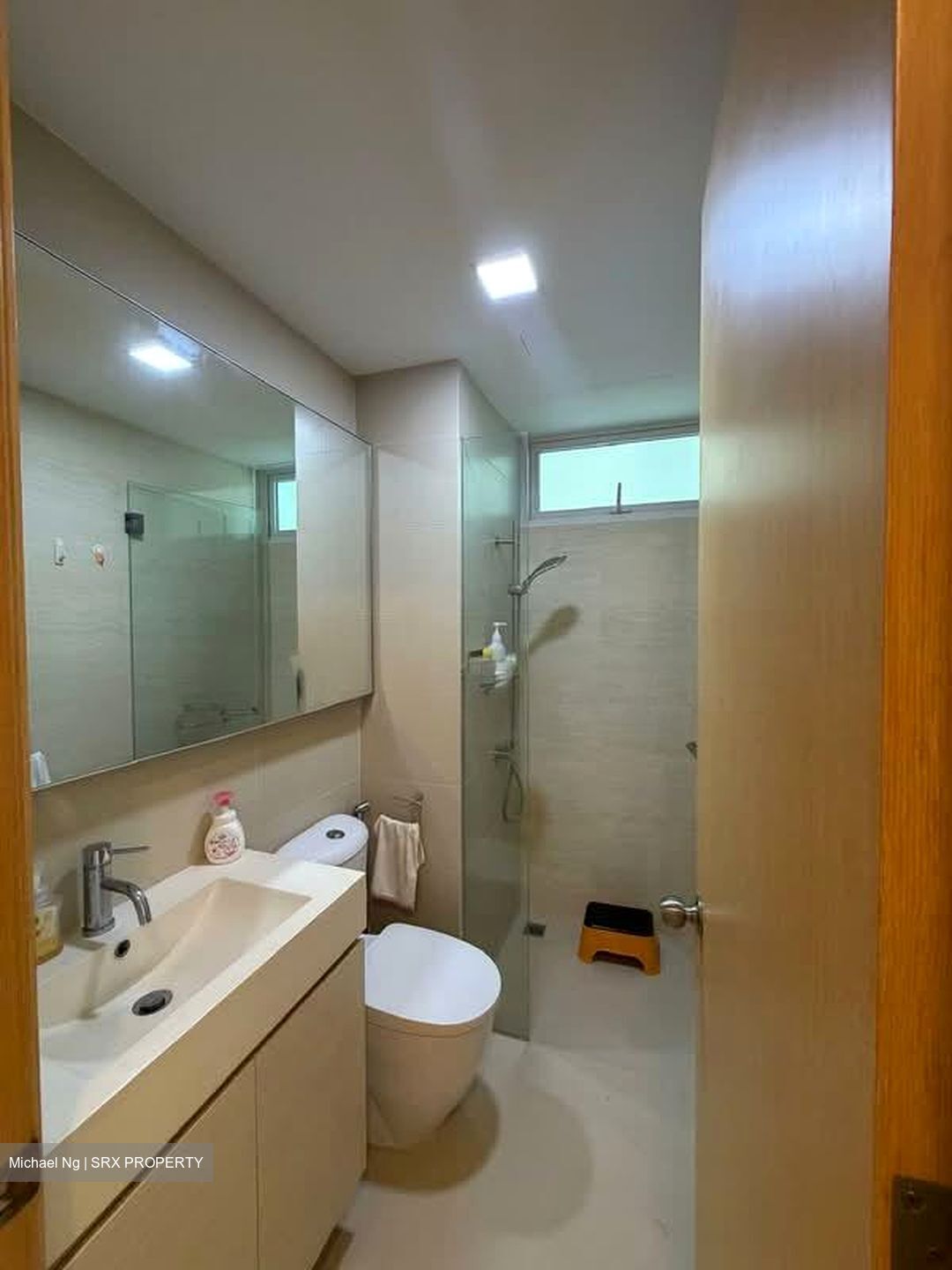 Waterview (D18), Condominium #591811091